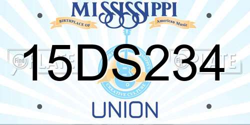 15DS234 Mississippi License Plate