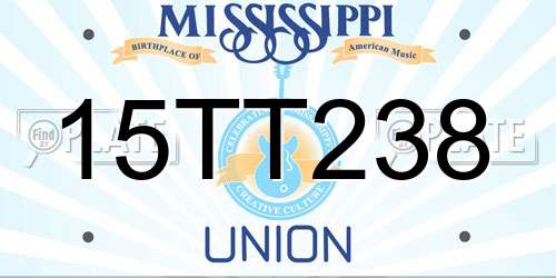 15TT238 Mississippi License Plate