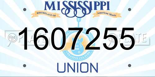 1607255 Mississippi License Plate