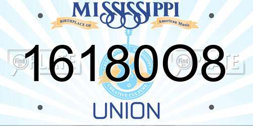 16180O8 Mississippi License Plate