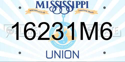 16231M6 Mississippi License Plate