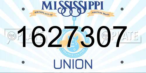 1627307 Mississippi License Plate
