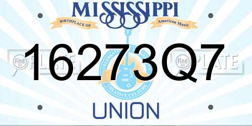 16273Q7 Mississippi License Plate