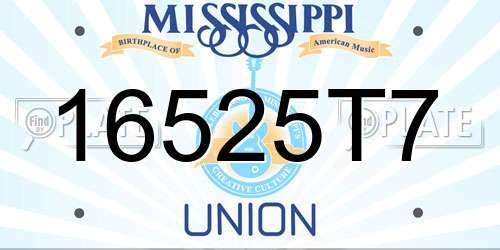 16525T7 Mississippi License Plate