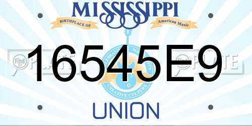16545E9 Mississippi License Plate