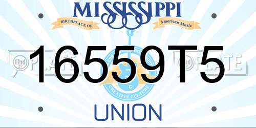 16559T5 Mississippi License Plate