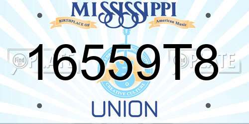 16559T8 Mississippi License Plate