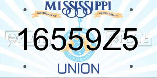 16559Z5 Mississippi License Plate