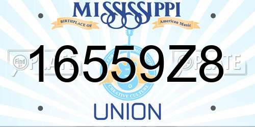 16559Z8 Mississippi License Plate