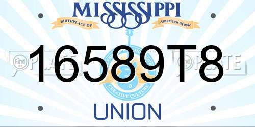 16589T8 Mississippi License Plate