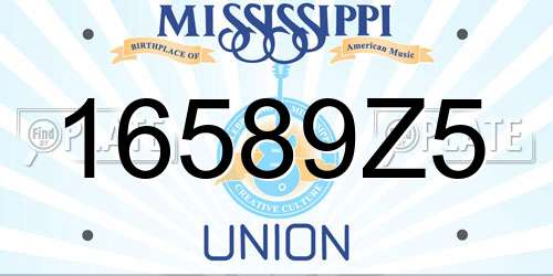 16589Z5 Mississippi License Plate