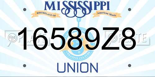 16589Z8 Mississippi License Plate
