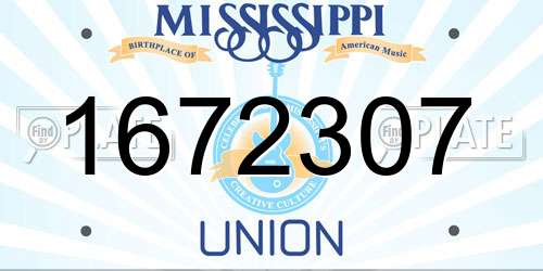 1672307 Mississippi License Plate