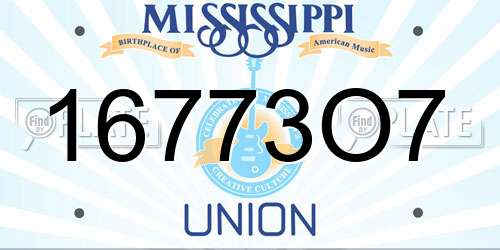 16773O7 Mississippi License Plate