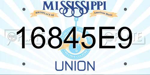 16845E9 Mississippi License Plate