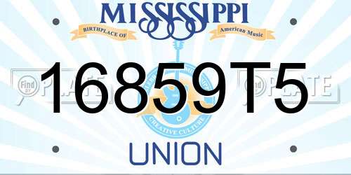 16859T5 Mississippi License Plate
