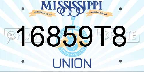16859T8 Mississippi License Plate