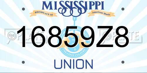 16859Z8 Mississippi License Plate