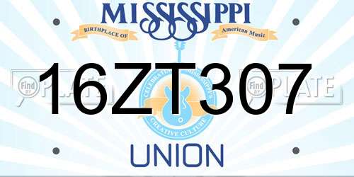 16ZT307 Mississippi License Plate