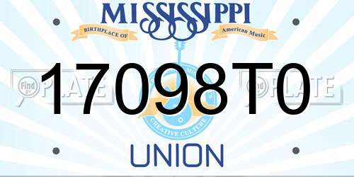 17098T0 Mississippi License Plate