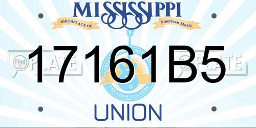 17161B5 Mississippi License Plate