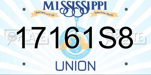 17161S8 Mississippi License Plate