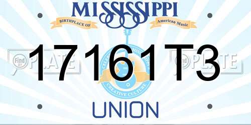 17161T3 Mississippi License Plate