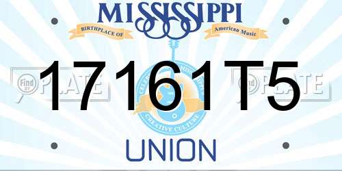 17161T5 Mississippi License Plate