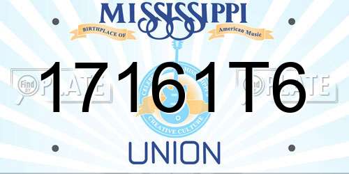17161T6 Mississippi License Plate