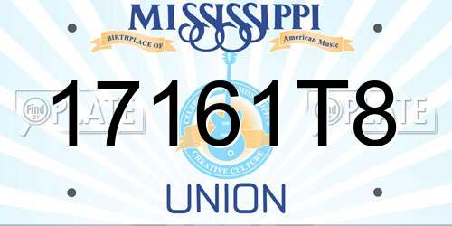 17161T8 Mississippi License Plate
