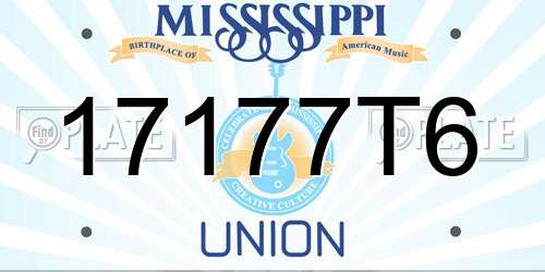 17177T6 Mississippi License Plate