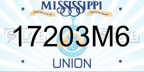 17203M6 Mississippi License Plate