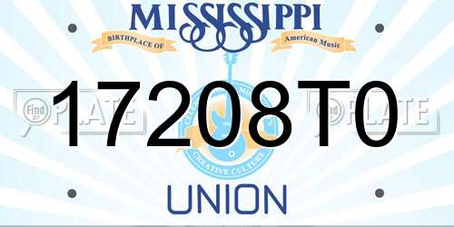 17208T0 Mississippi License Plate