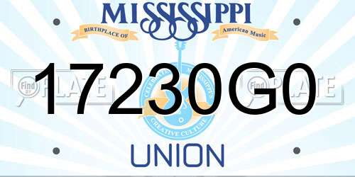 17230G0 Mississippi License Plate