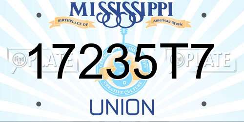 17235T7 Mississippi License Plate