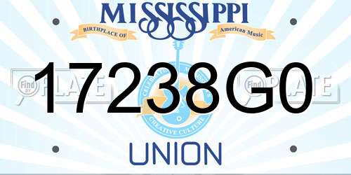 17238G0 Mississippi License Plate