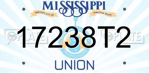 17238T2 Mississippi License Plate