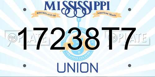 17238T7 Mississippi License Plate