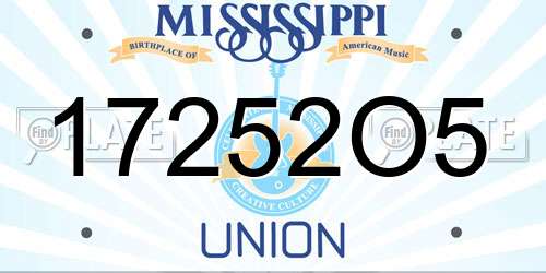 17252O5 Mississippi License Plate
