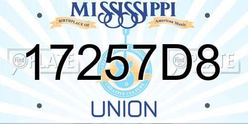 17257D8 Mississippi License Plate
