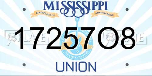 17257O8 Mississippi License Plate