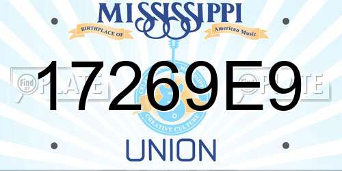17269E9 Mississippi License Plate