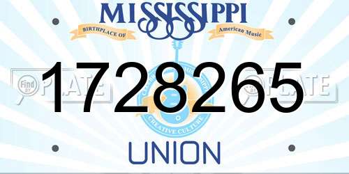 1728265 Mississippi License Plate