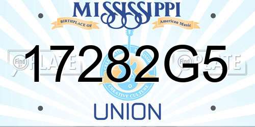 17282G5 Mississippi License Plate