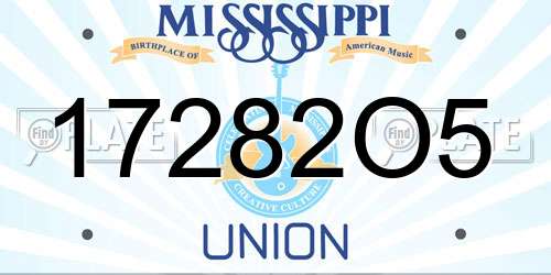 17282O5 Mississippi License Plate