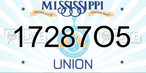 17287O5 Mississippi License Plate