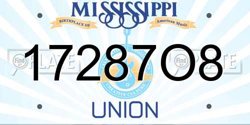 17287O8 Mississippi License Plate
