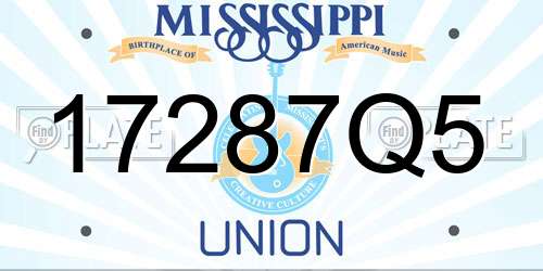 17287Q5 Mississippi License Plate