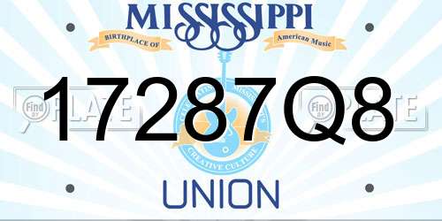 17287Q8 Mississippi License Plate