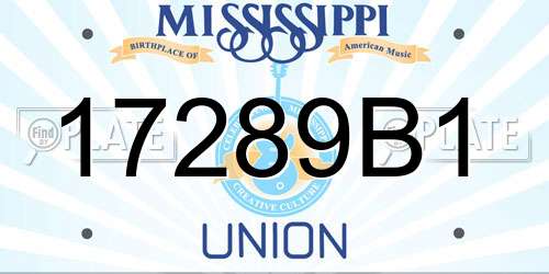 17289B1 Mississippi License Plate